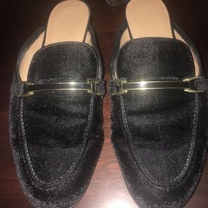 Franco Sarto Black mule slides
